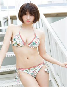 烈火军校电视剧免费观看全集